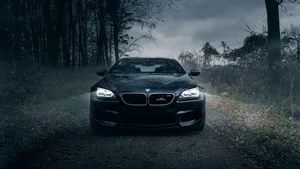 Cool Bmw In Forest Wallpaper