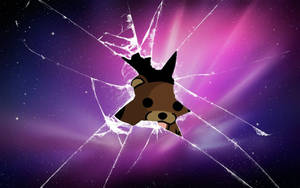 Cool Glass With Pedobear Wallpaper