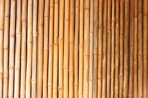 Cool Japanese Bamboo Wallpaper