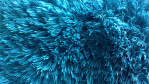 Cool Light Blue Furry Rug Wallpaper