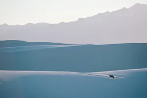 Cool Pc Snow Landscape Wallpaper