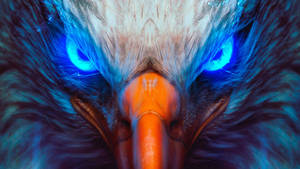 Cool Picture Eagle Eyes Wallpaper