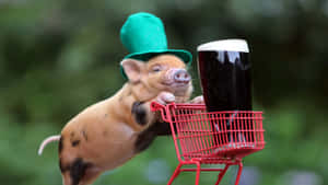 Cool Piggy And Beer Mug Wallpaper