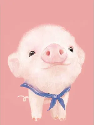 Cool Piggy With Ribbon Wallpaper