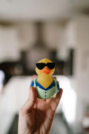 Cool Rubber Ducky Sunglasses.jpg Wallpaper