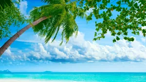 Cool Summer Vibrant Beach Wallpaper
