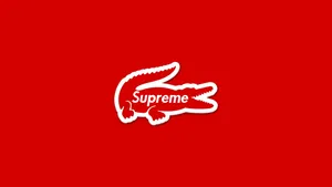 Cool Supreme Lacoste Wallpaper