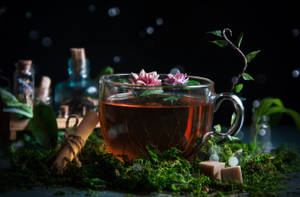 Cool Tea Garden Setting Wallpaper