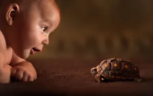 Cool Turtle With Baby Wallpaper