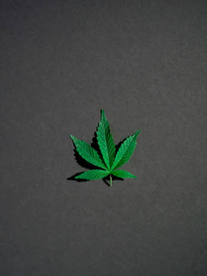 Cool Weed Grey Portrait Wallpaper