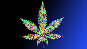 Cool Weed Rainbow Leaves Wallpaper