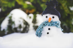 Cool Winter Snowman Wallpaper