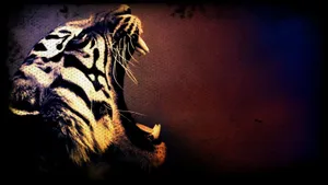Coolest Roaring Tiger Wallpaper