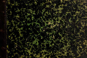 Copious Green Texture Wallpaper