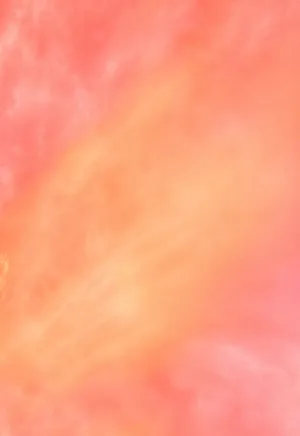 Coral Blush Gradient Background Wallpaper