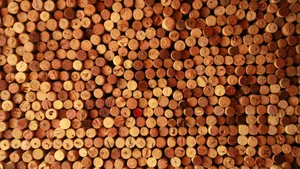Cork Wine Stoppers Collection Wallpaper