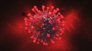 Coronavirus Diagram In Red Wallpaper