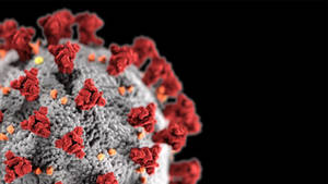 Coronavirus In Red And Grey Wallpaper