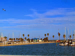 Corpus Christi Marina Sunny Day Wallpaper