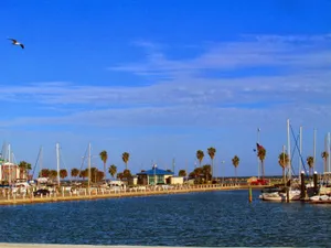Corpus Christi Marina Sunny Day Wallpaper