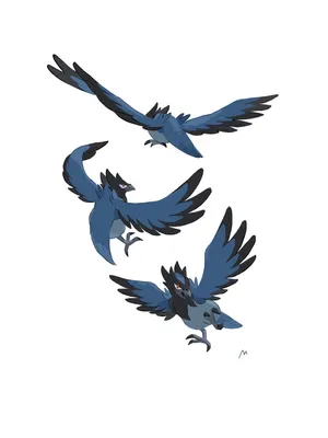 Corvisquire Flying Different Positions Wallpaper