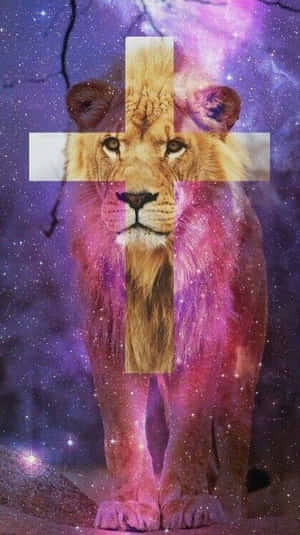 Cosmic_ Lion_ Artwork Wallpaper