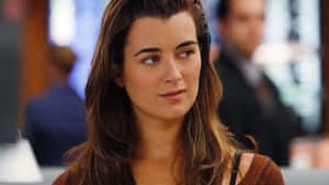 Cote De Pablo On Screen Wallpaper