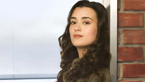 Cote De Pablo Portrait Wallpaper