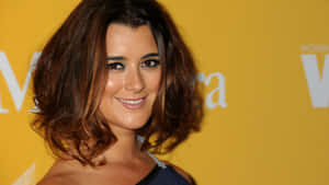 Cote De Pablo Red Carpet Look Wallpaper