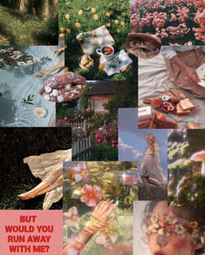 Cottagecore Aesthetic Collage Wallpaper