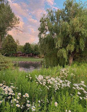 Cottagecore Aesthetic Landscape Wallpaper