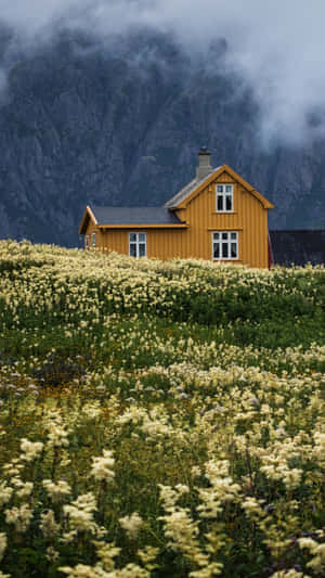 Cottagein Mountain Meadow Wallpaper