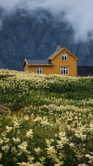 Cottagein Mountain Meadow Wallpaper