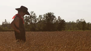 Country Boyin Wheat Field Wallpaper