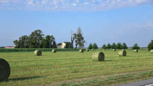 Country Farm Hay Bales Wallpaper