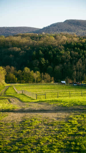 Country Farm Landscape Wallpaper