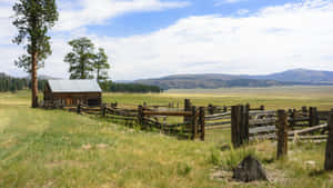 Country Farm Landscape Wallpaper