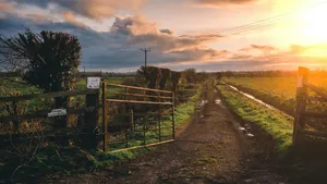 Country Farm Sunrise Wallpaper