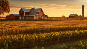 Country Farm Sunset Wallpaper