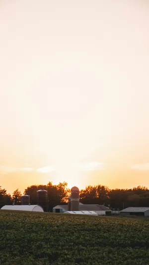 Country Farm Sunset View Wallpaper