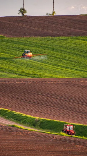 Country Farm Tractor Work Wallpaper