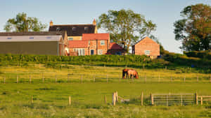 Country Farm With Grazing Horse Wallpaper
