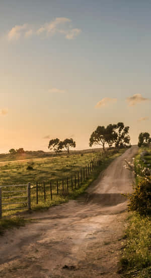 Country Road At Sunset Wallpaper
