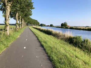 Countryside Bike Path Hoorn Netherlands Wallpaper