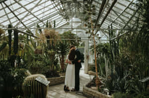 Couple Embrace Allan Gardens Conservatory Wallpaper