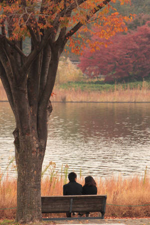 Couple On Stream Bench Wallpaper