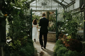 Couple Walkingin Allan Gardens Conservatory Wallpaper