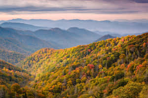 Covered Mist Great Smoky Mountains National Park Wallpaper