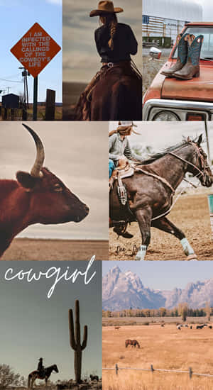 Cowgirl Country Vibes Wallpaper