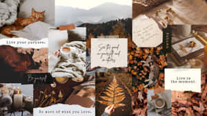 Cozy Autumn Vibes Wallpaper